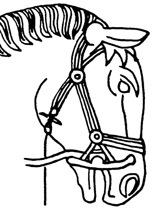 Libyscher Hengst (Persepolis)T37A2.jpg